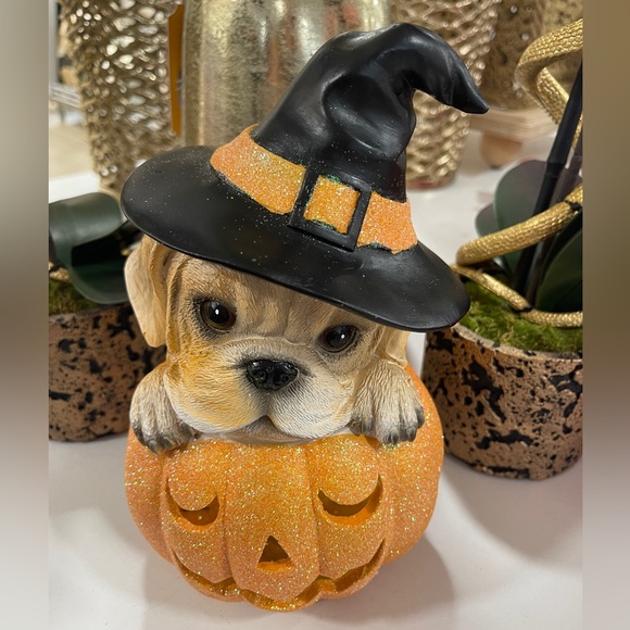 Halloween Puppy Witch Light up Orange Glitter Jack o’Lantern Humane Society NWT - Picture 3 of 7